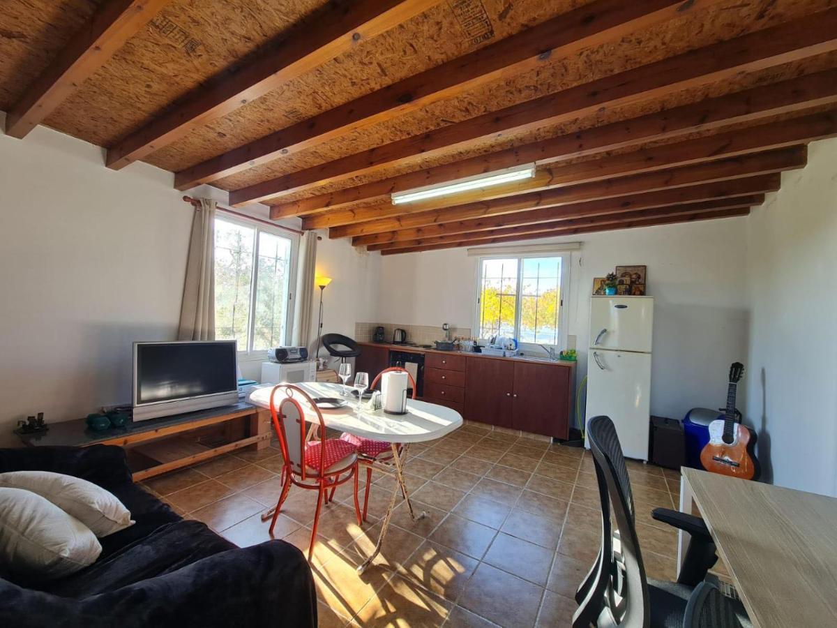 Spacious Studio In Yeroskipou Koloni Exterior foto