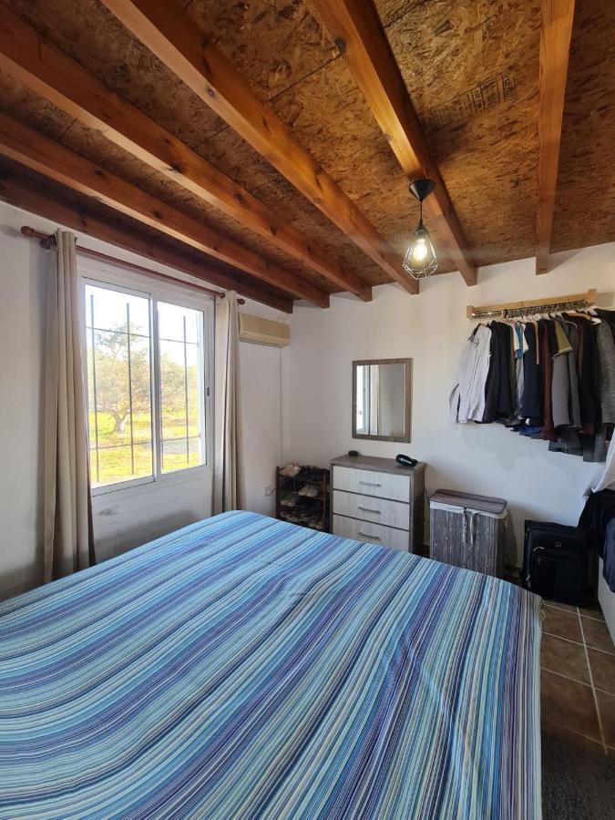 Spacious Studio In Yeroskipou Koloni Exterior foto